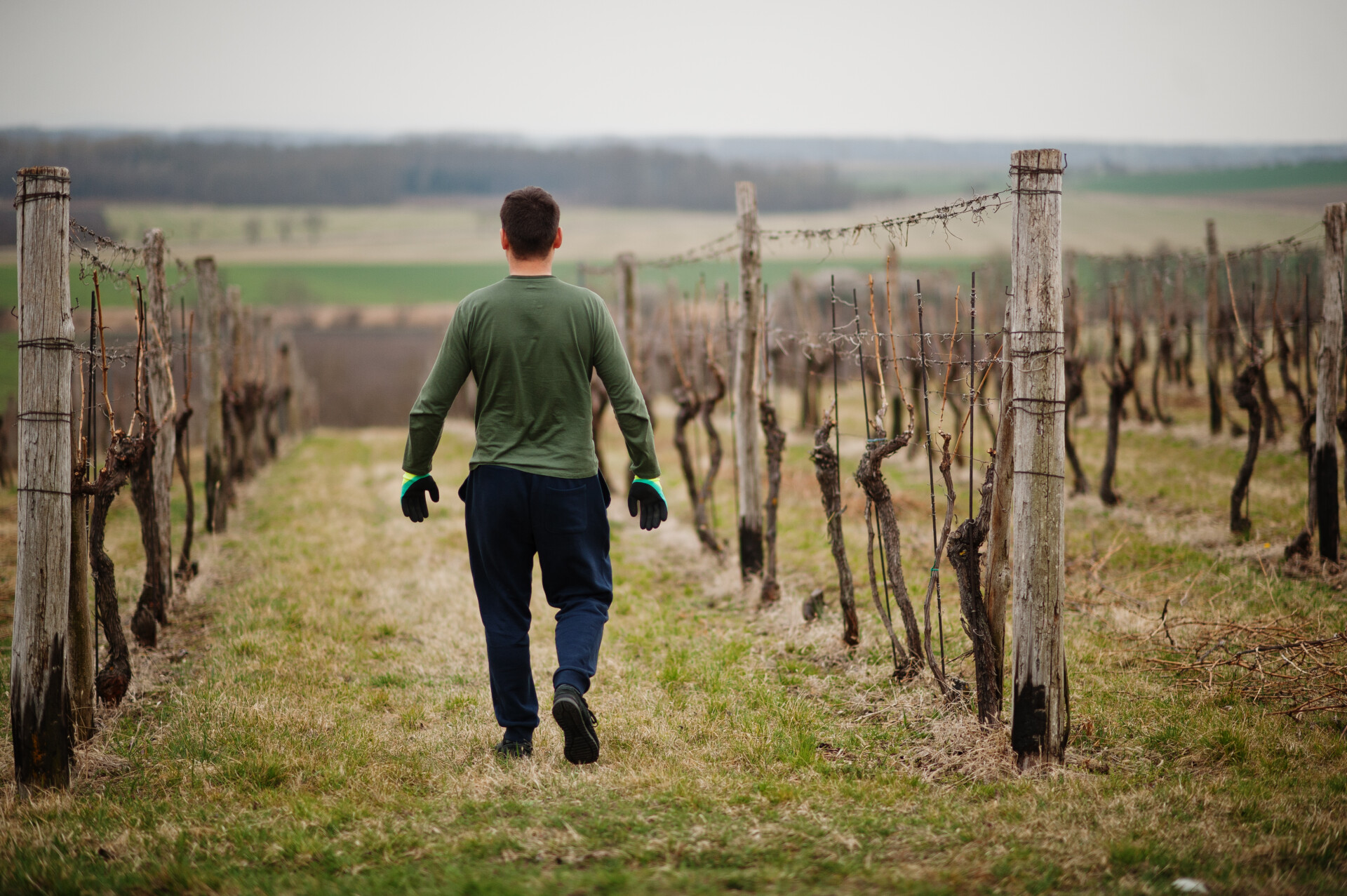 Le Soler : Le changement climatique au cœur de la préoccupation des viticulteurs