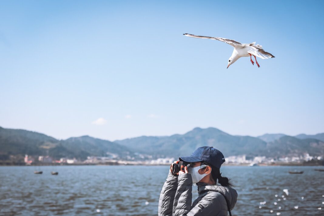 Cas d'influenza aviaire à Sigean Mise en place d’une zone réglementée suite à la confirmation d’un cas d’influenza aviaire hautement pathogène sur la commune de SIGEAN