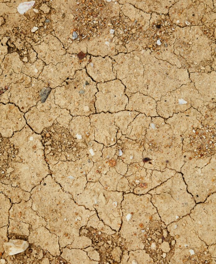 sécheresse pyréénes orientales L’épisode de sécheresse exceptionnelle qui touche l’ensemble du département depuis la fin du printemps continue d’impacter les milieux naturels et les activités humaines. Le 28 octobre s’est tenue la neuvième réunion du « comité départemental ressource en eau » de la saison, réunissant sous l’autorité du secrétaire général de la préfecture, l’ensemble des partenaires impliqués dans la gestion de la sécheresse : collectivités, usagers, experts et services d