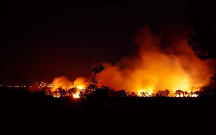 Pyrénées-Orientales Avancement de la date de début d’interdiction de brûlages de végétaux pour cause de risque incendie