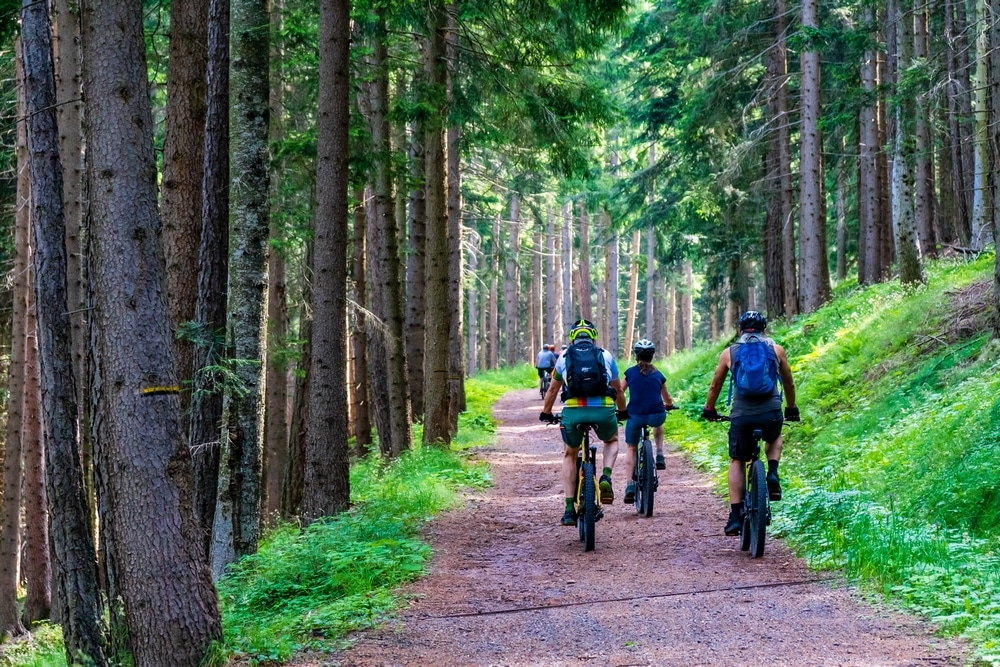 A l’Orée des Forêts en Vallée de l’Agly