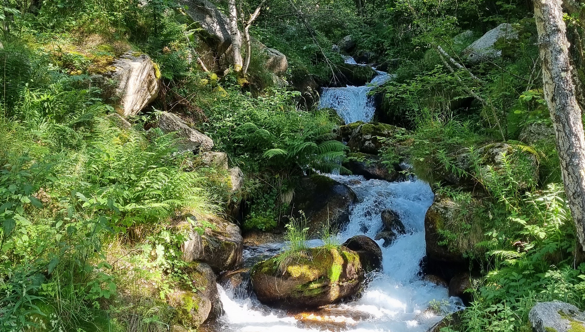 prolongation des mesures de restriction d'eau dans les Pyrénées-Orientales
