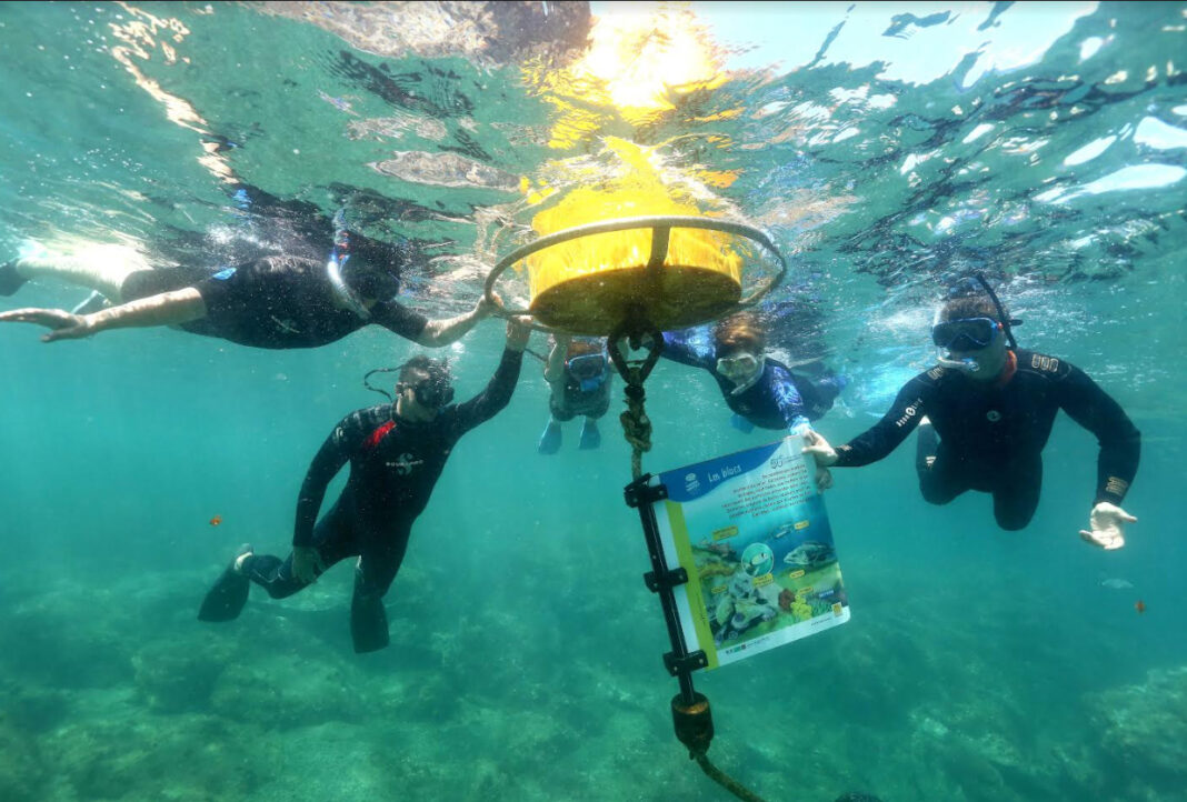 Lancement de la saison touristique 2024 par le Département et plongée au cœur du sentier sous-marin de Banyuls-Cerbère 1 Lancement de la saison touristique 2024 par le Département et plongée au cœur du sentier sous-marin de Banyuls-Cerbère 1