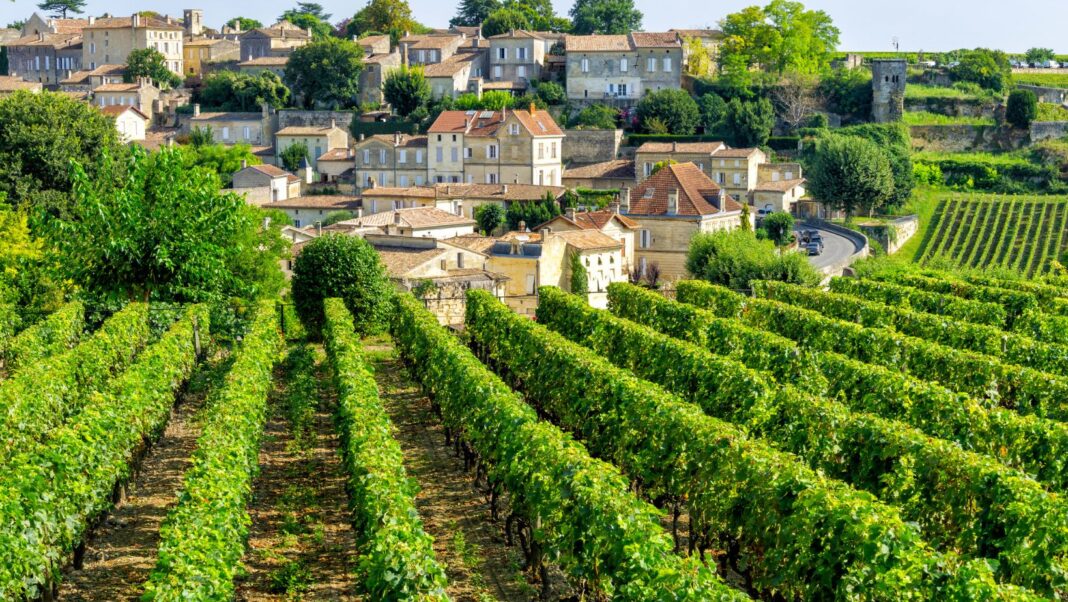 Ce village aux 3000 habitants qui produit les vins les plus recherchés du monde Ce village aux 3000 habitants qui produit les vins les plus recherchés du monde
