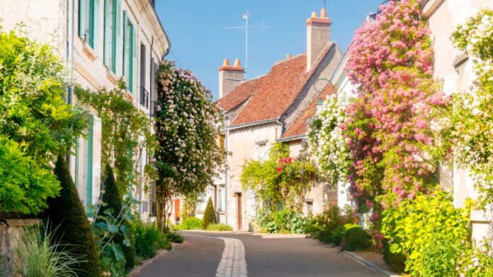Dans ce village, les habitants jardinent leurs trottoirs depuis 25 ans