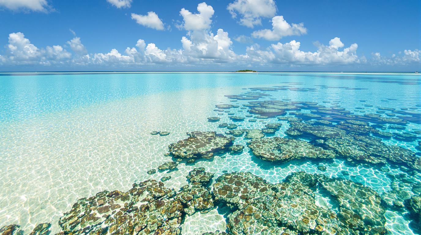 Cette plage hondurienne à 270 mètres d’altitude cache le deuxième récif corallien mondial