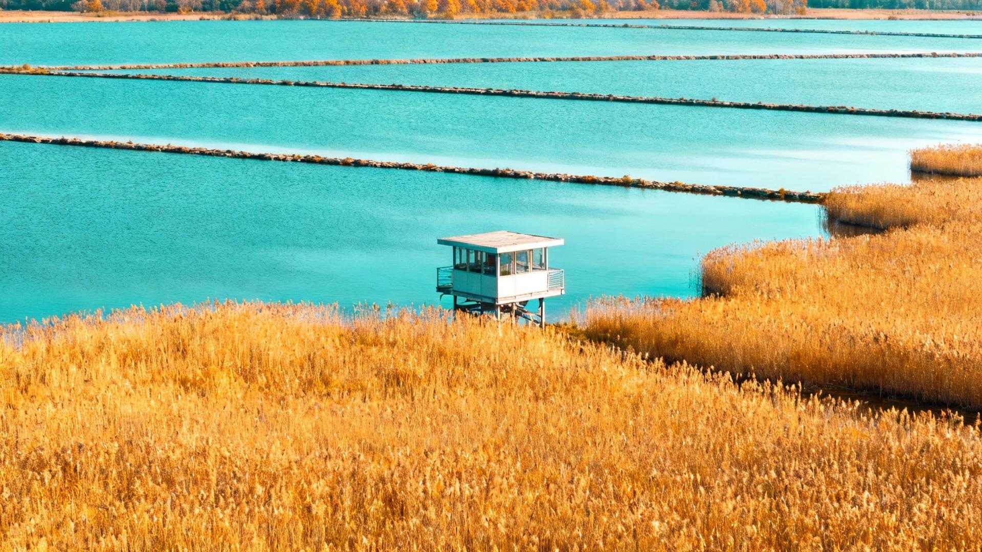 Ce site Ramsar de 241 espèces offre 7 expériences gratuites à 70 km de Strasbourg