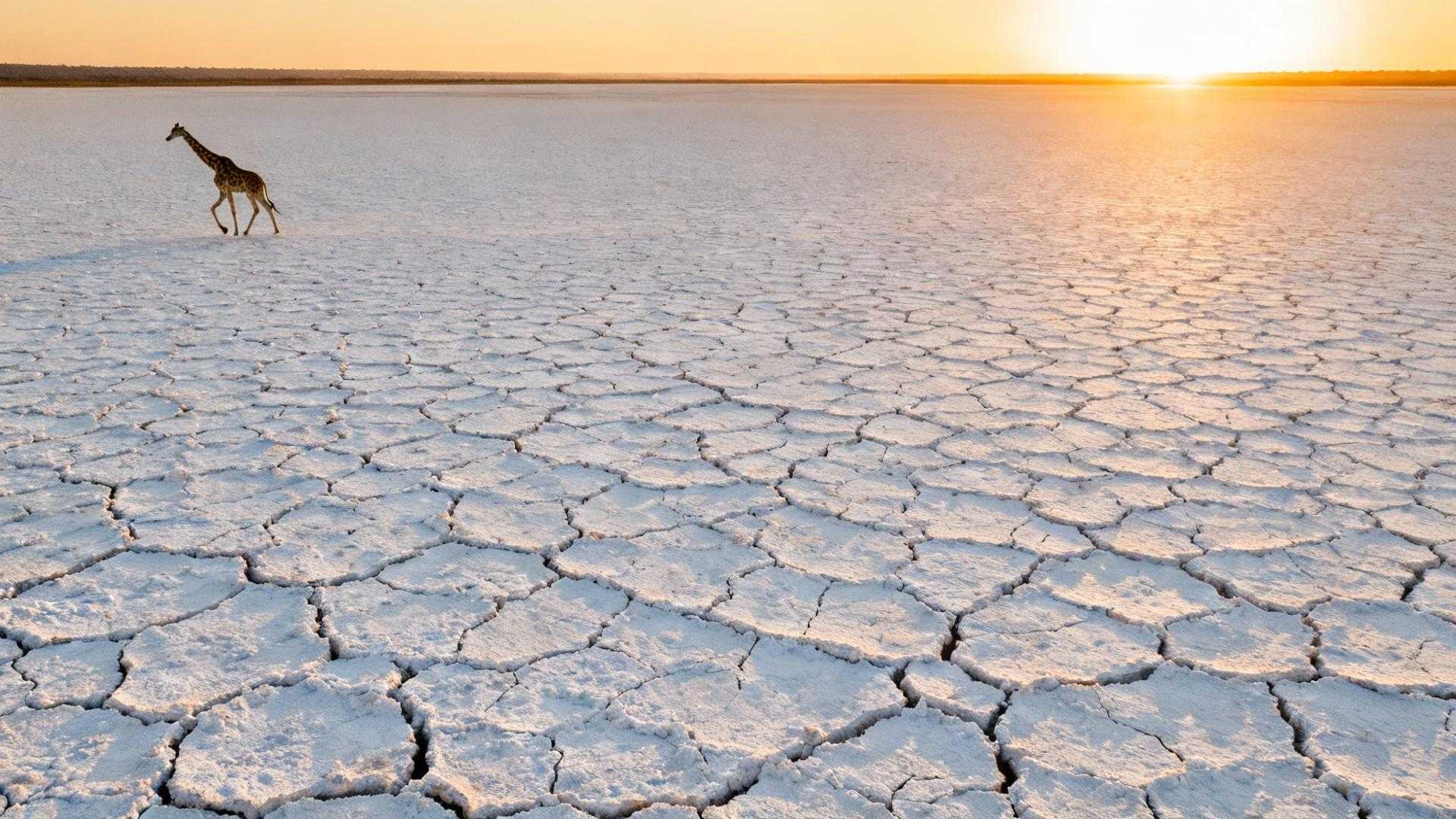 Comment trois jours à Etosha ont ralenti ma perception du temps sauvage