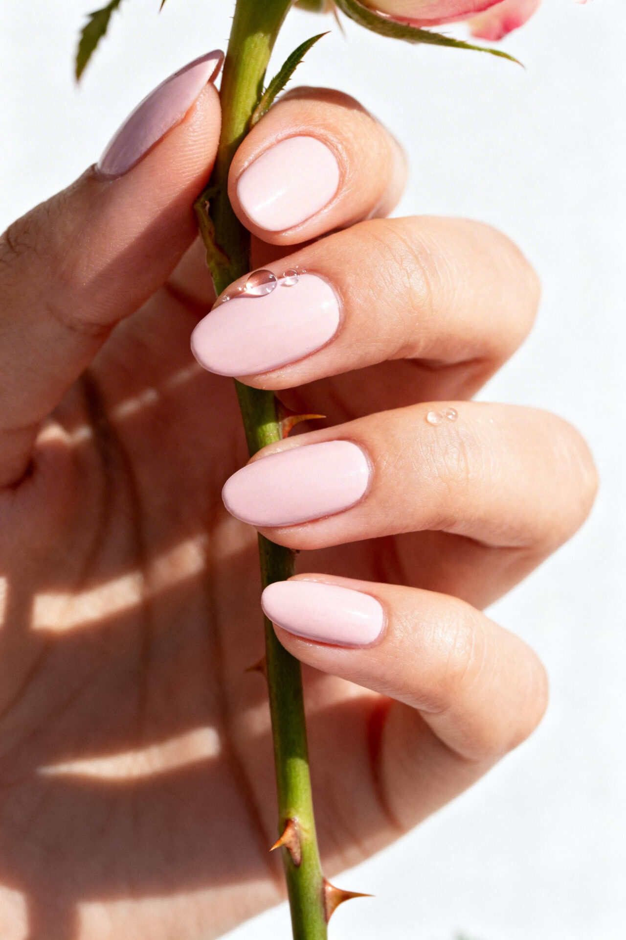 Pretty Almond Nails - ballet pink powder