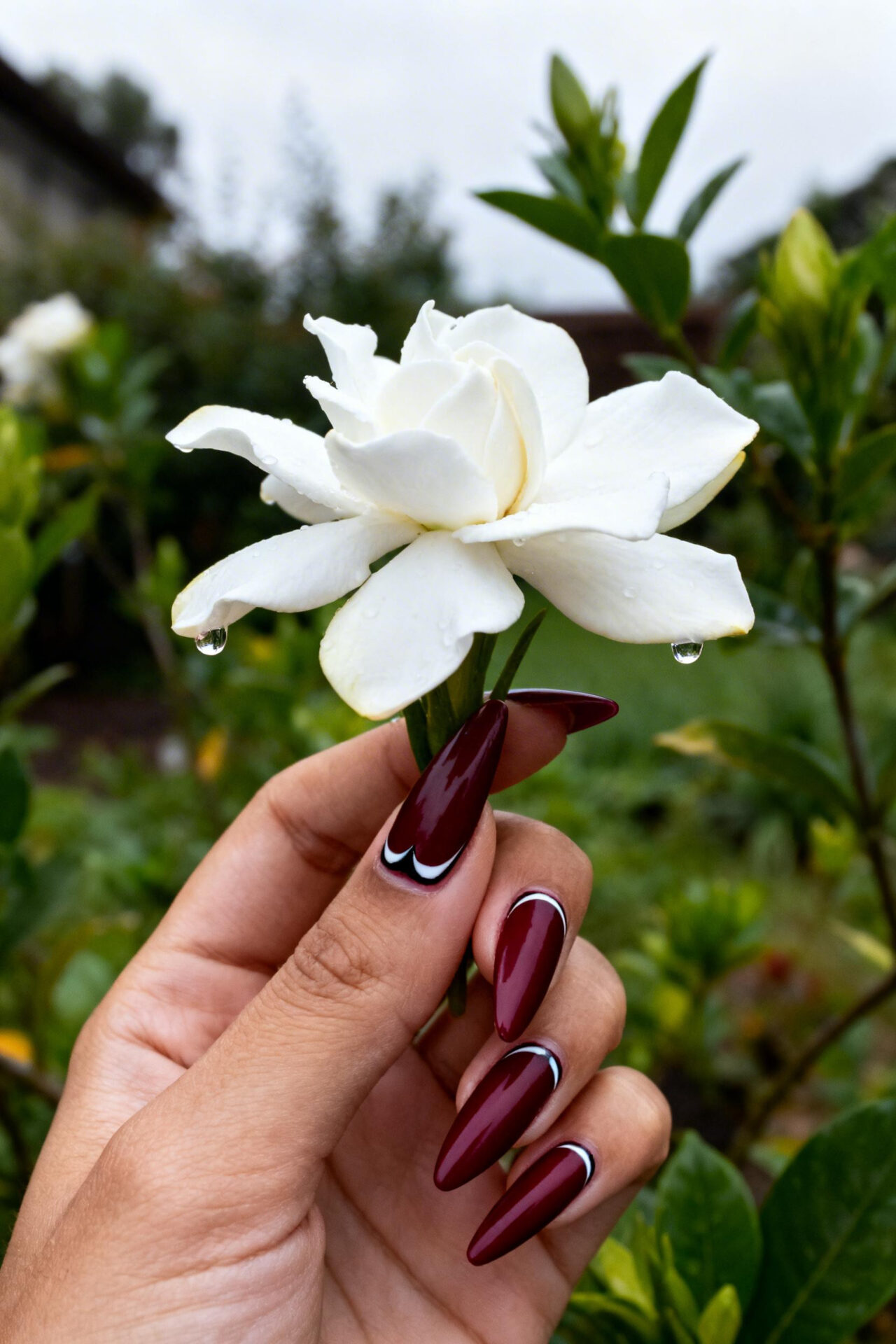 Dark Cherry Red Nails - cherry cola matte stiletto