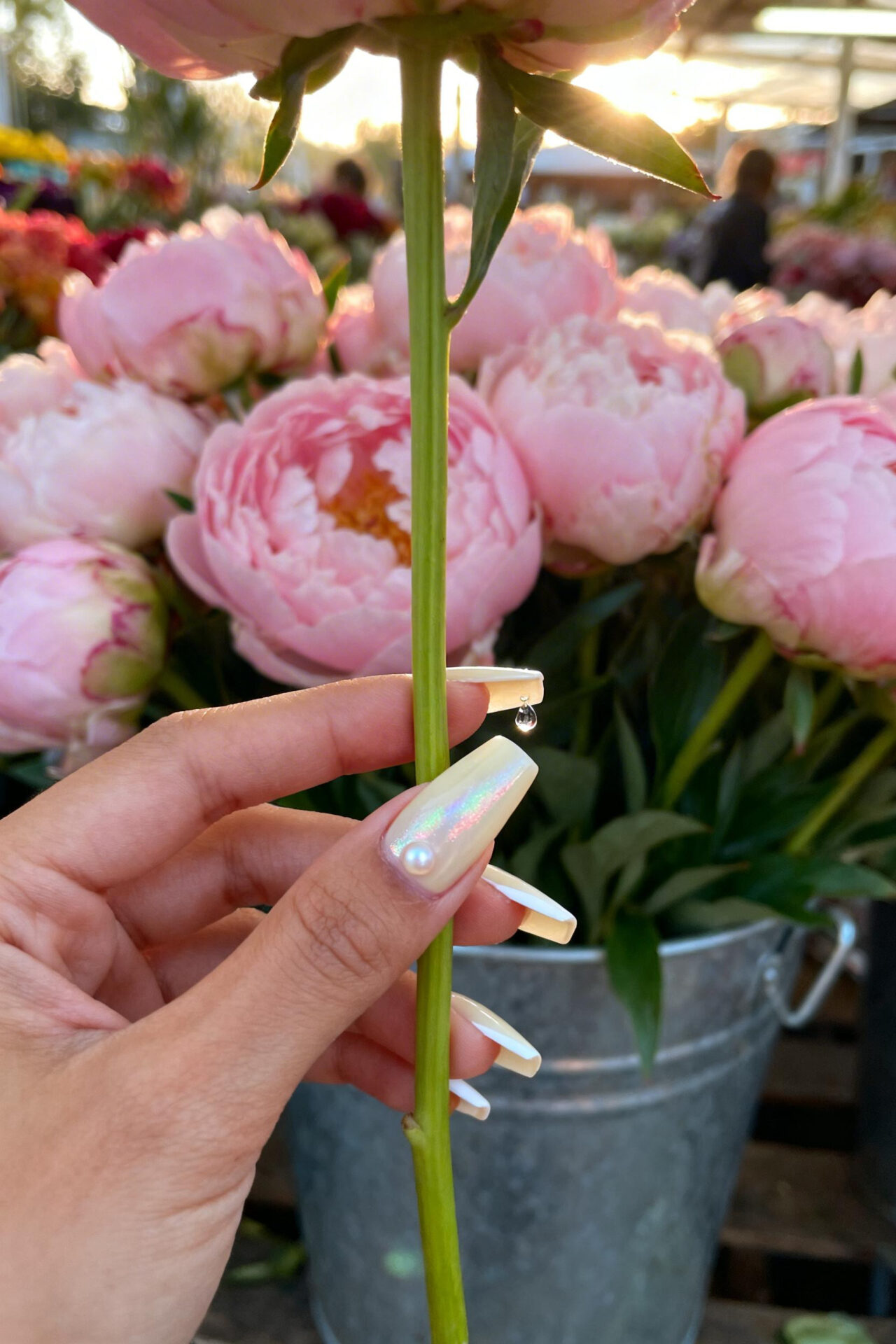 Long Square Acrylic Nails - french tip elegant