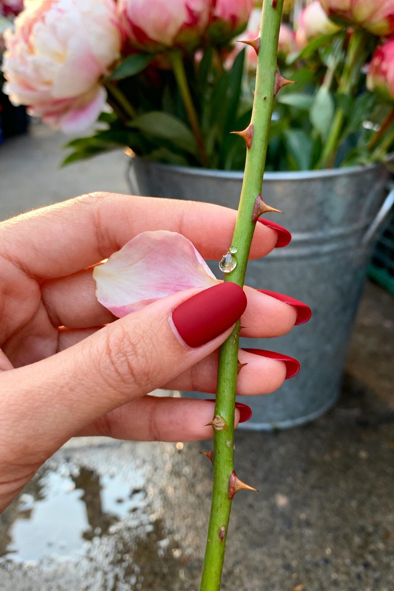 Hot Red Nails - scarlet satin oval